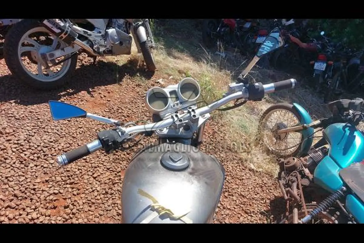 LOTE 0099