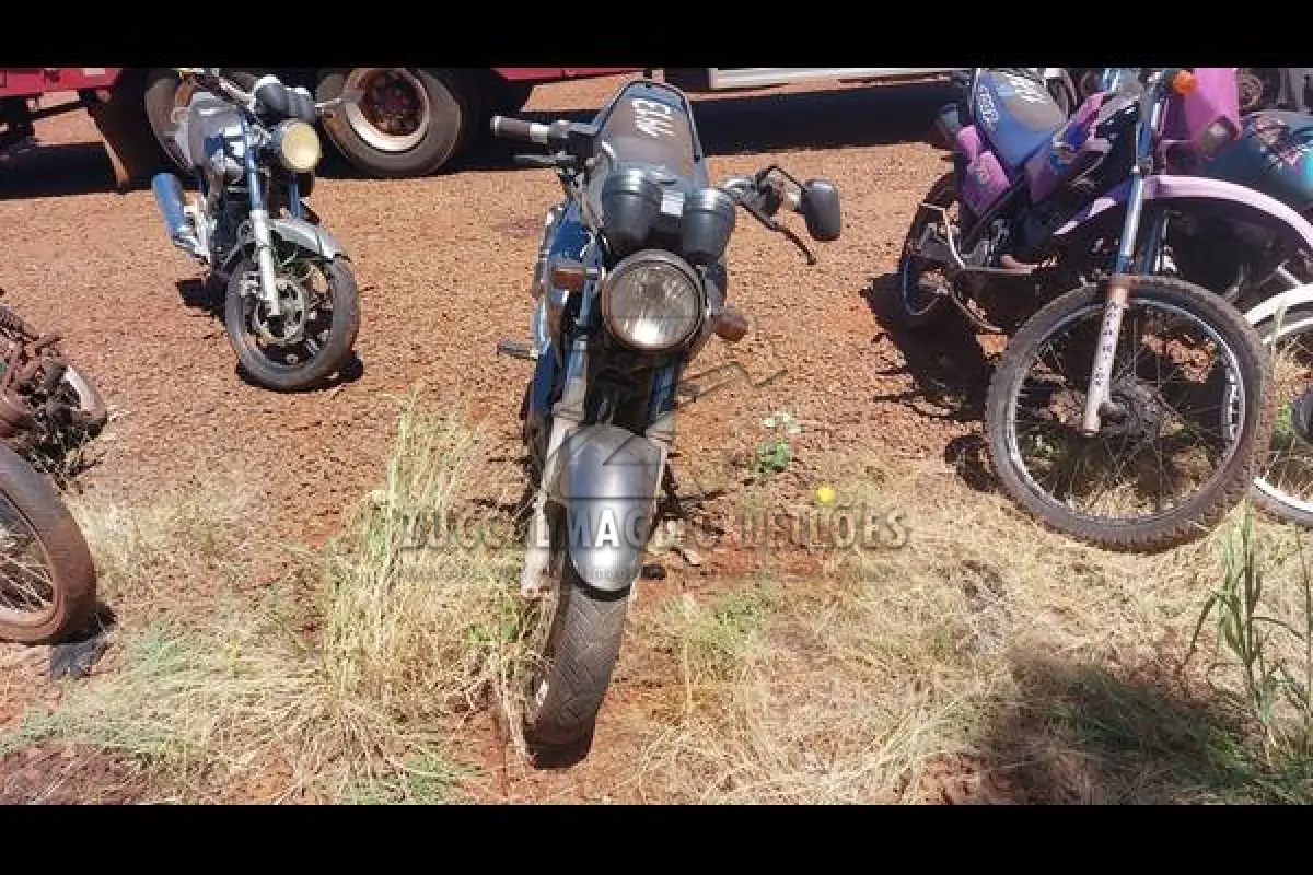 LOTE 0102