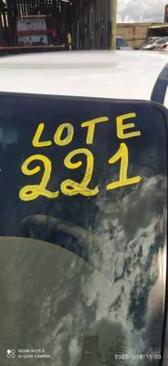 LOTE 0221