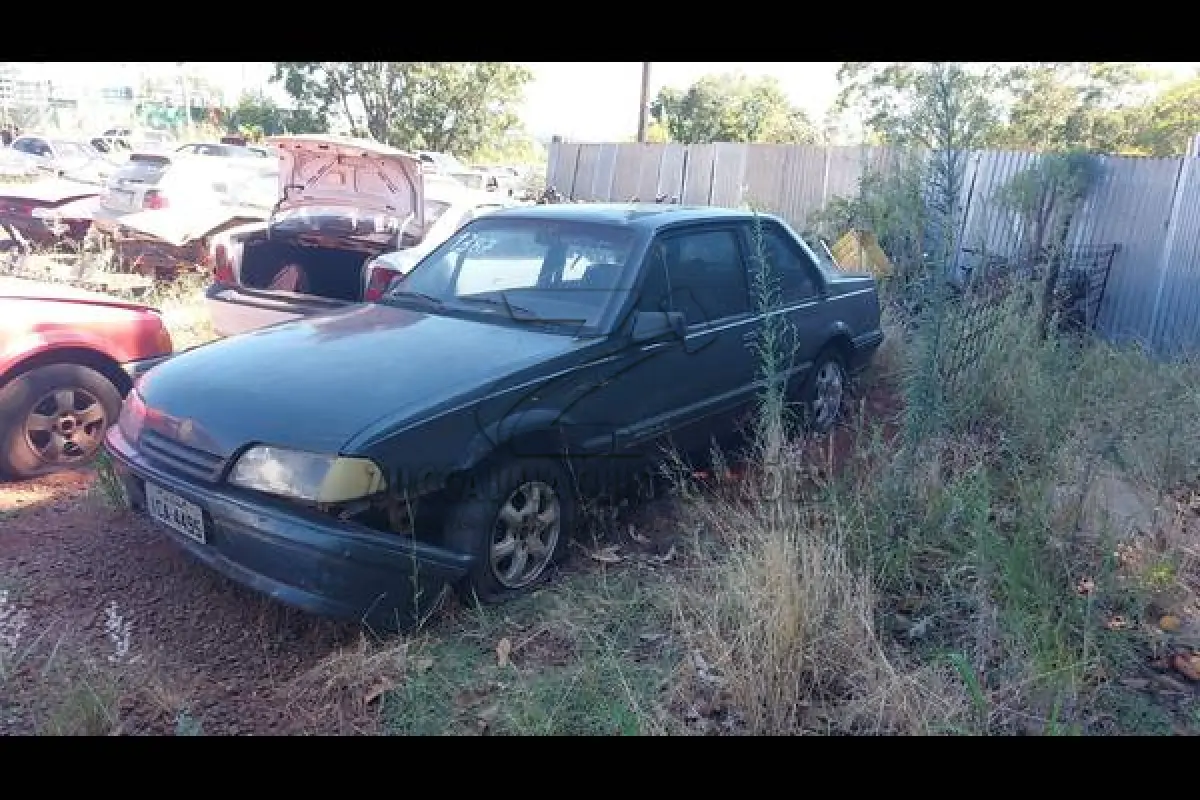 LOTE 0095