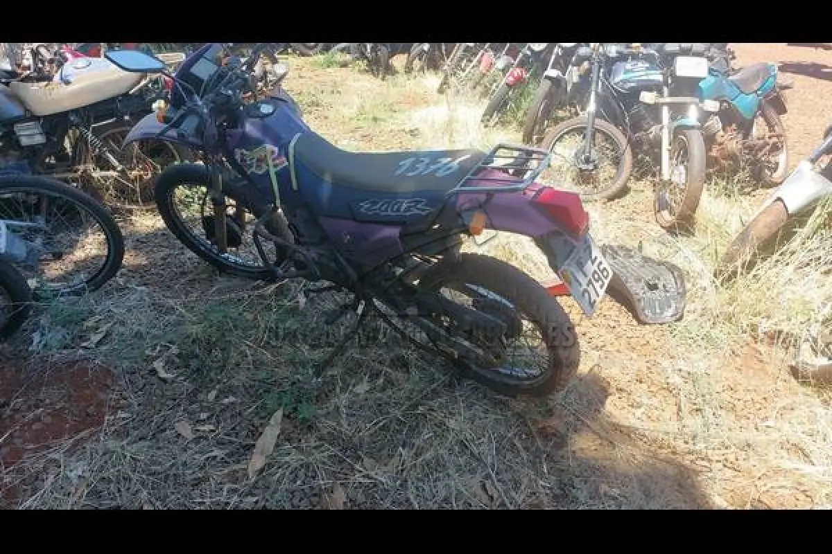 LOTE 0096
