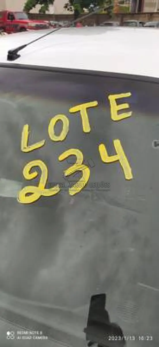 LOTE 0234