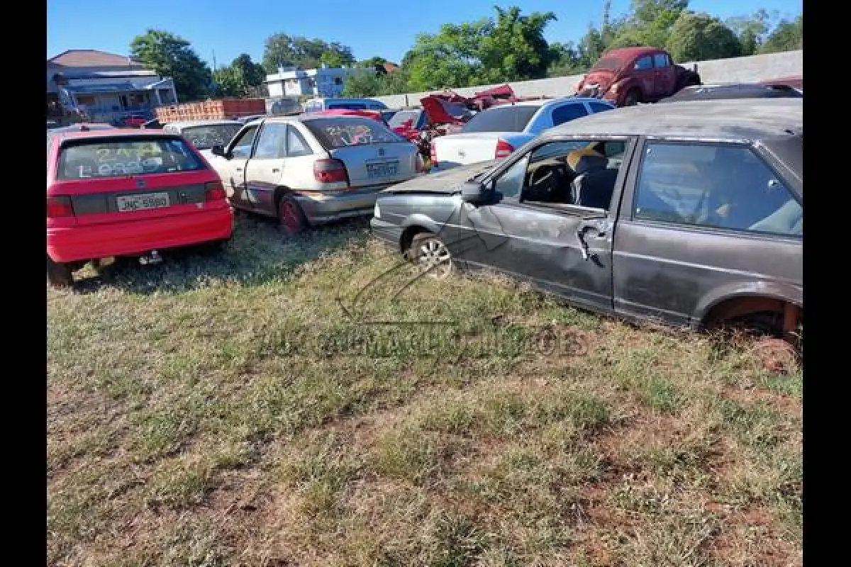 LOTE 0239