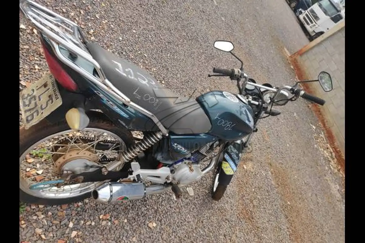 LOTE 0081