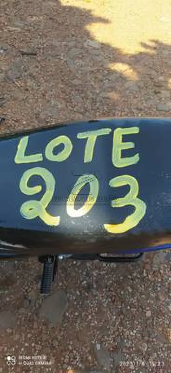 LOTE 0203