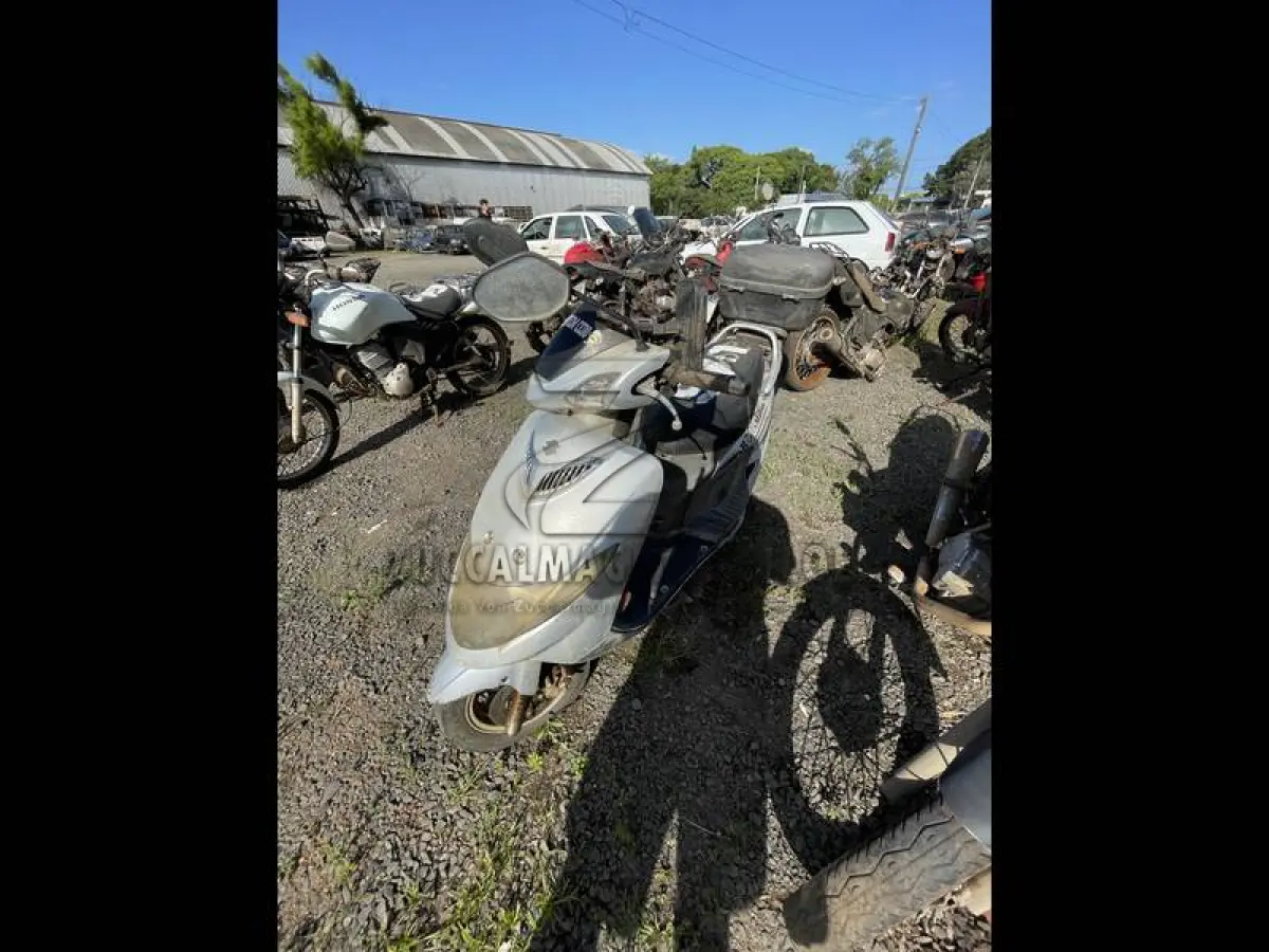 LOTE 0065