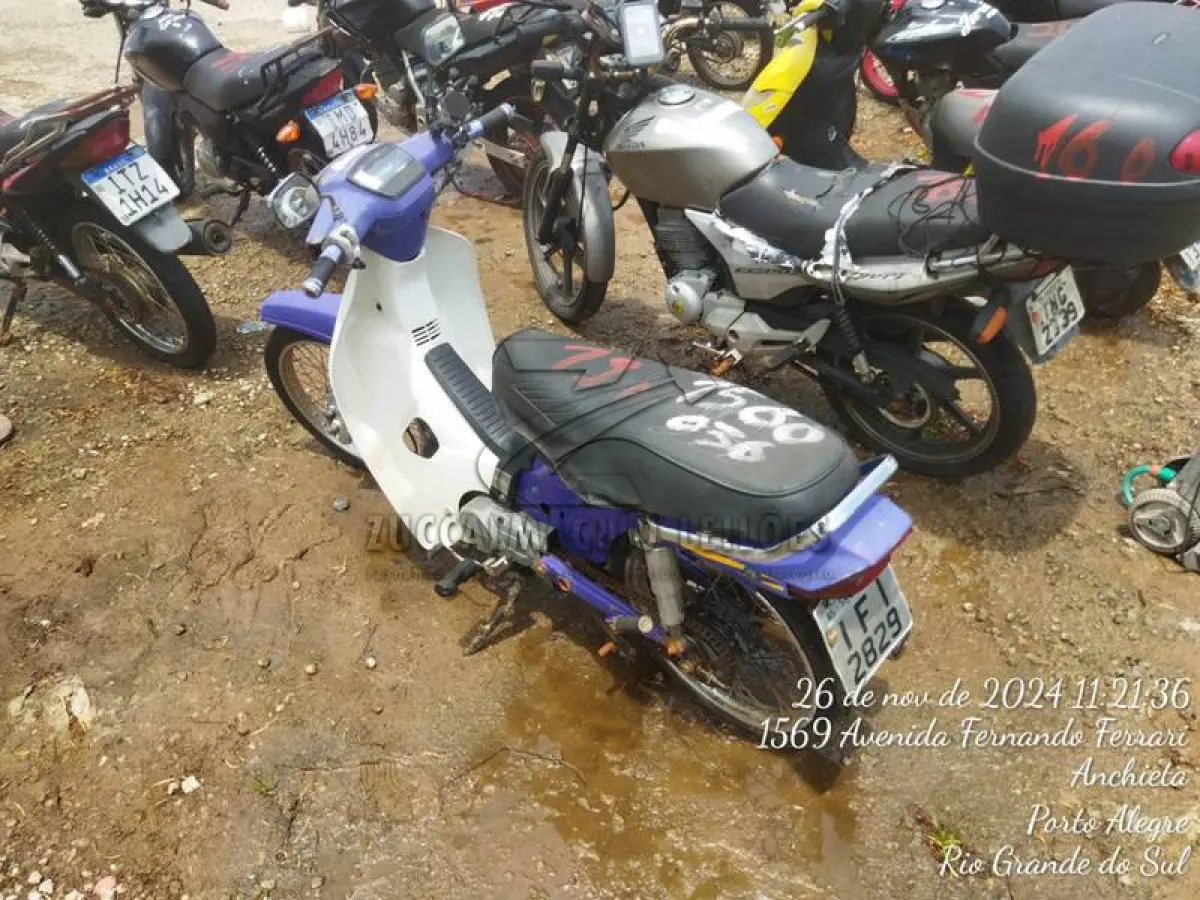LOTE 0019
