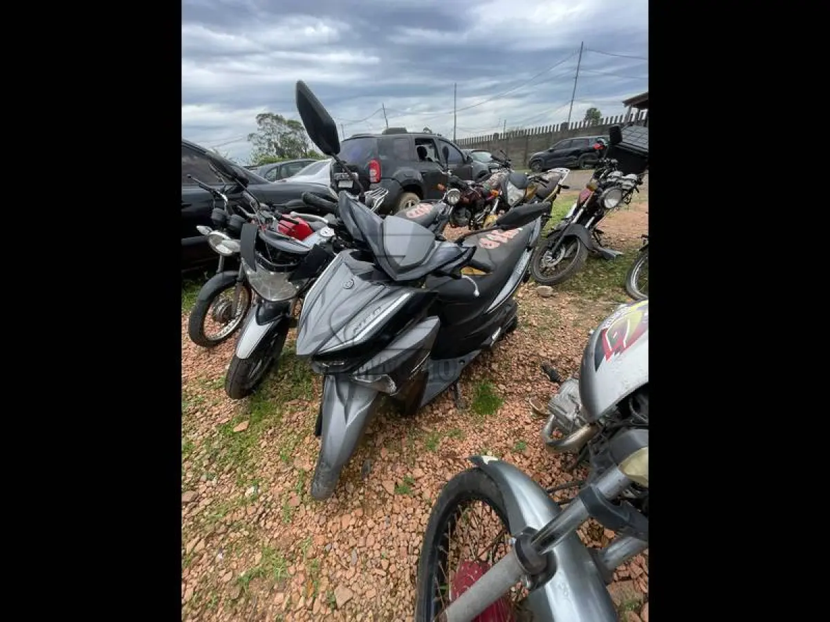 LOTE 0131