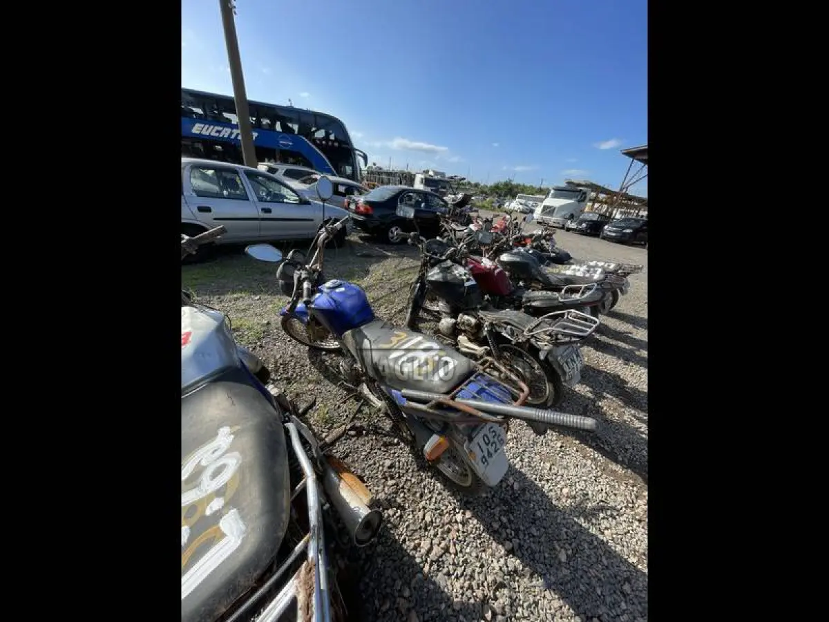 LOTE 0081