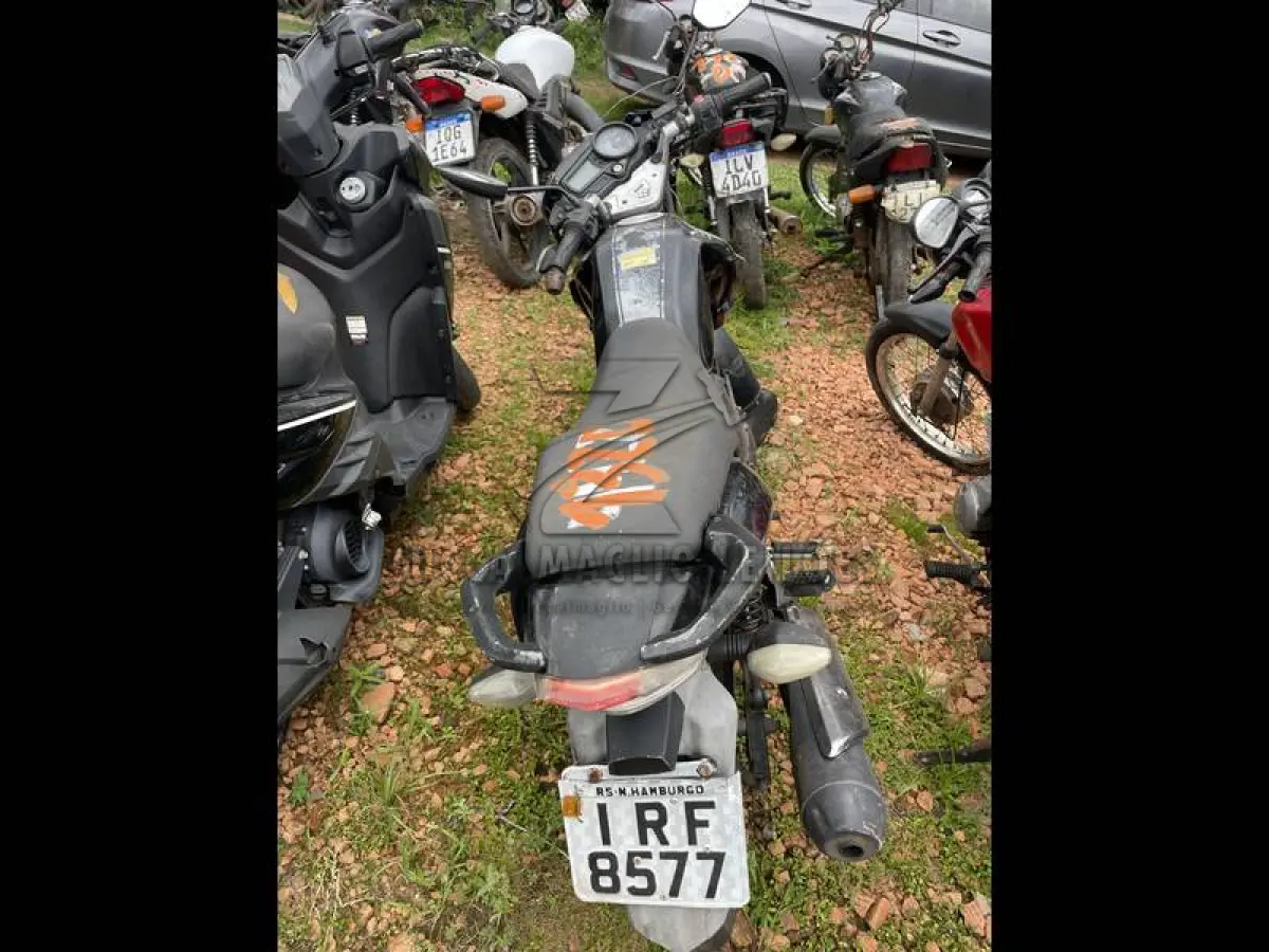 LOTE 0132