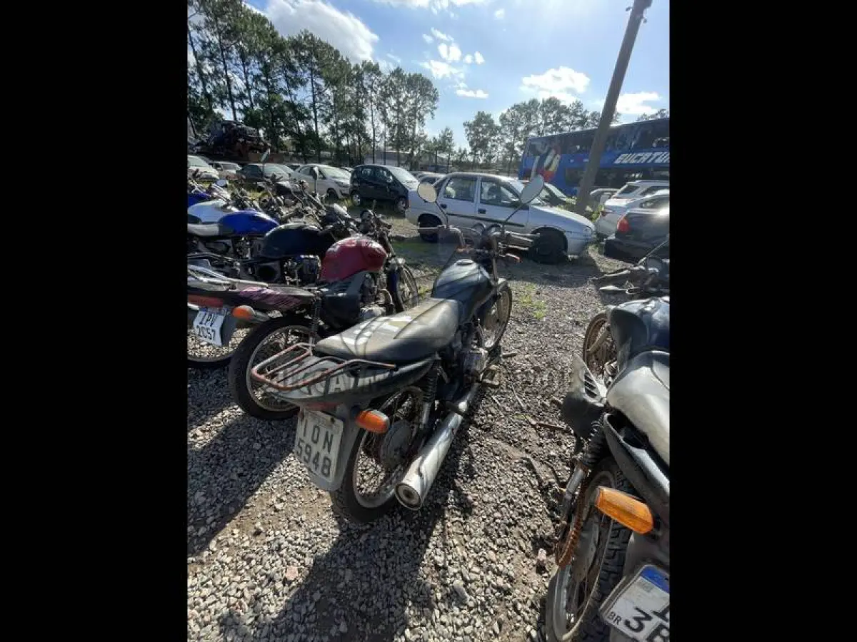 LOTE 0077