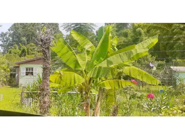 área
