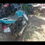 Foto 6