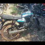 Foto 8