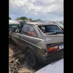 Foto 7