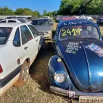 Foto 10