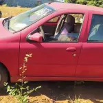 Foto 4
