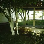 EXCELENTE SITIO , COM3.5HA  LOMBA DO PINHEIRO,  COM EXCELENTE INFRA ESTRUTURA, ACEITA PROPOSTA COM ENTRADA DE IMÓVEL  ATÉ R$ 400.000,00