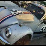 Foto 7