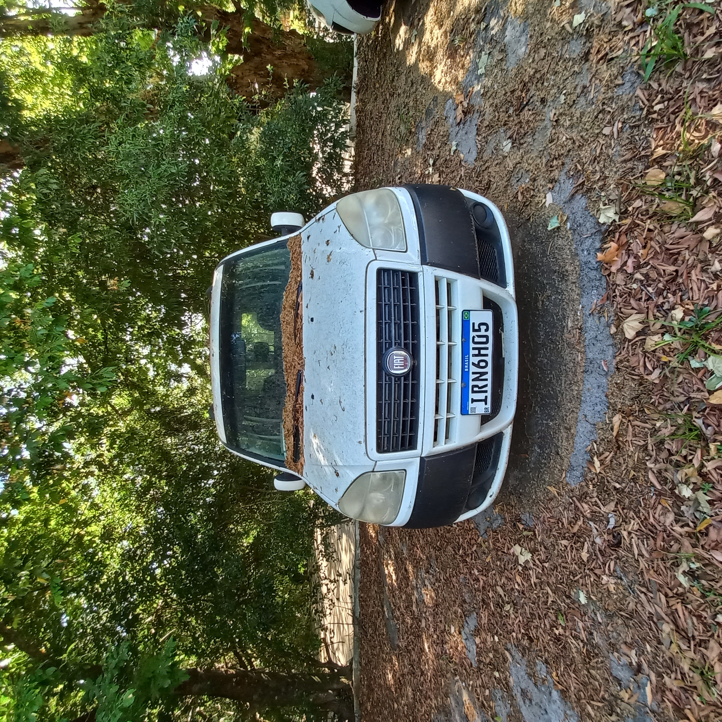 Foto 6