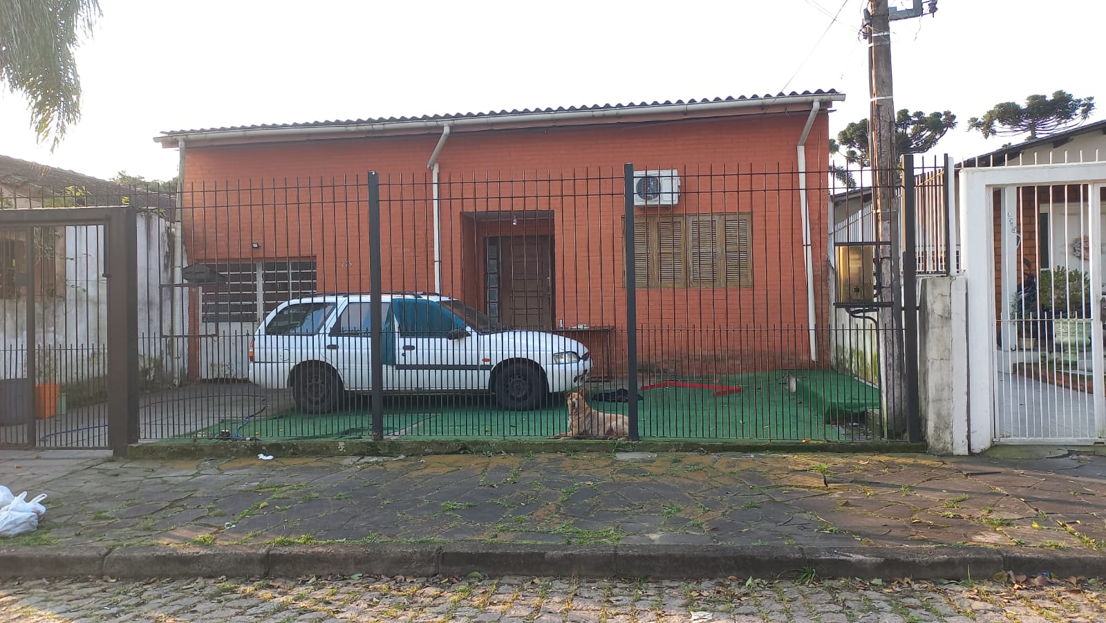 Foto 1